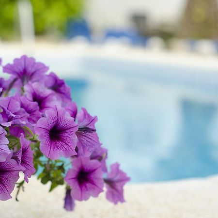 La Crisalida Retreats Apartament El Albir Zewnętrze zdjęcie