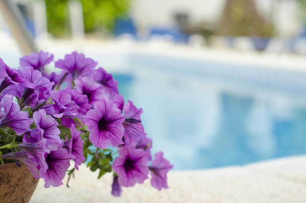 La Crisalida Retreats Apartament El Albir Zewnętrze zdjęcie